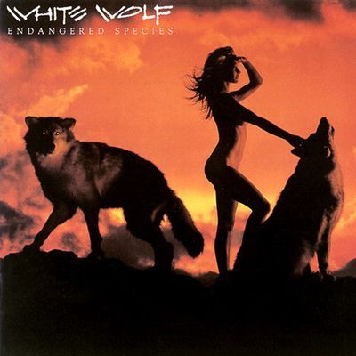 Endangered Species : White Wolf