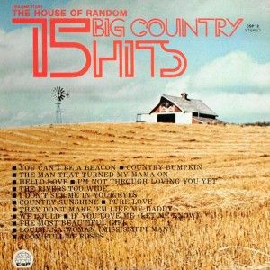 15 Big Country Hits, Vol. 4 : The House Of Random