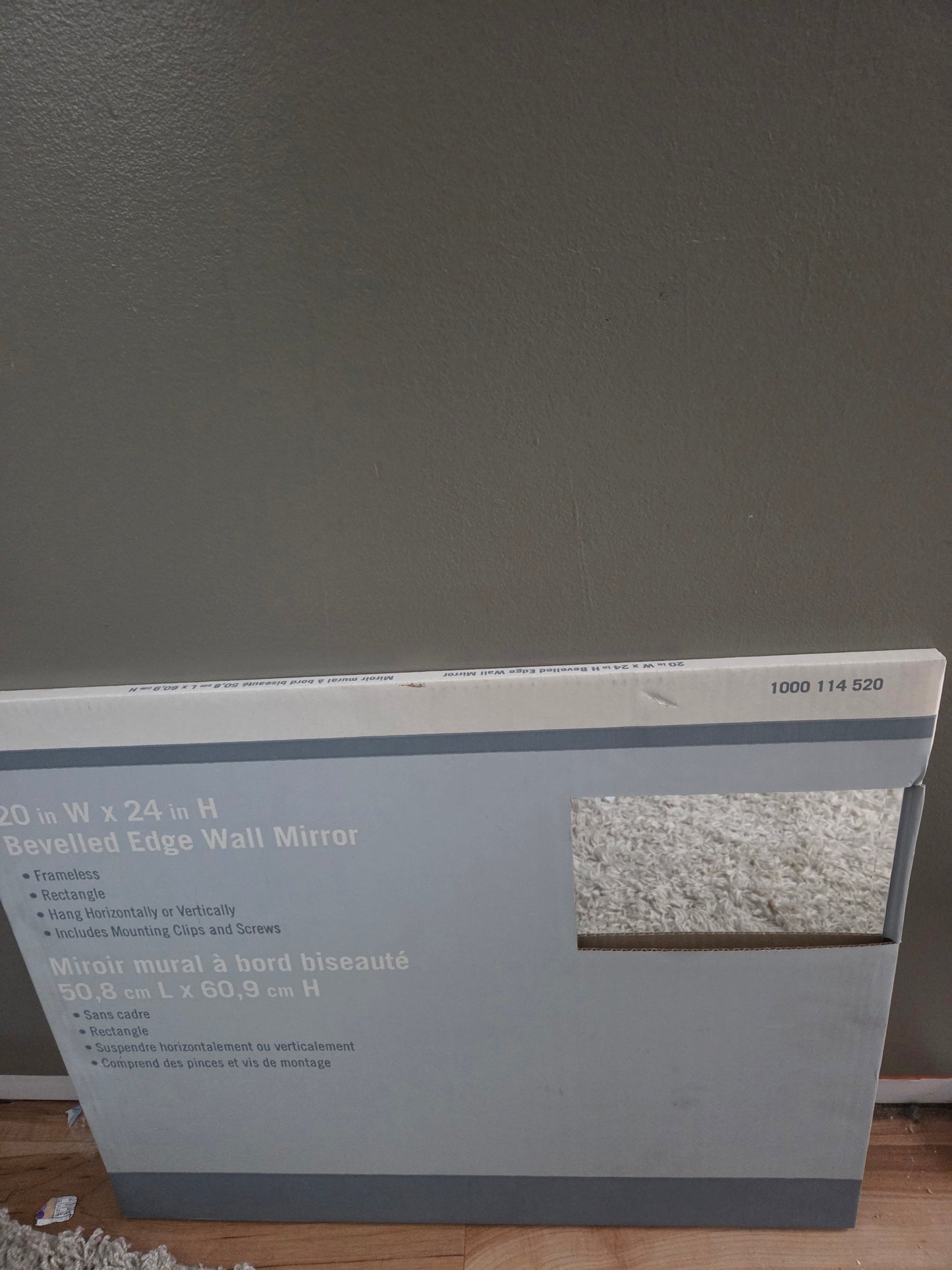 New 20 in. X 24 in. Beveled Wall Mirror, Renin / Stylewell