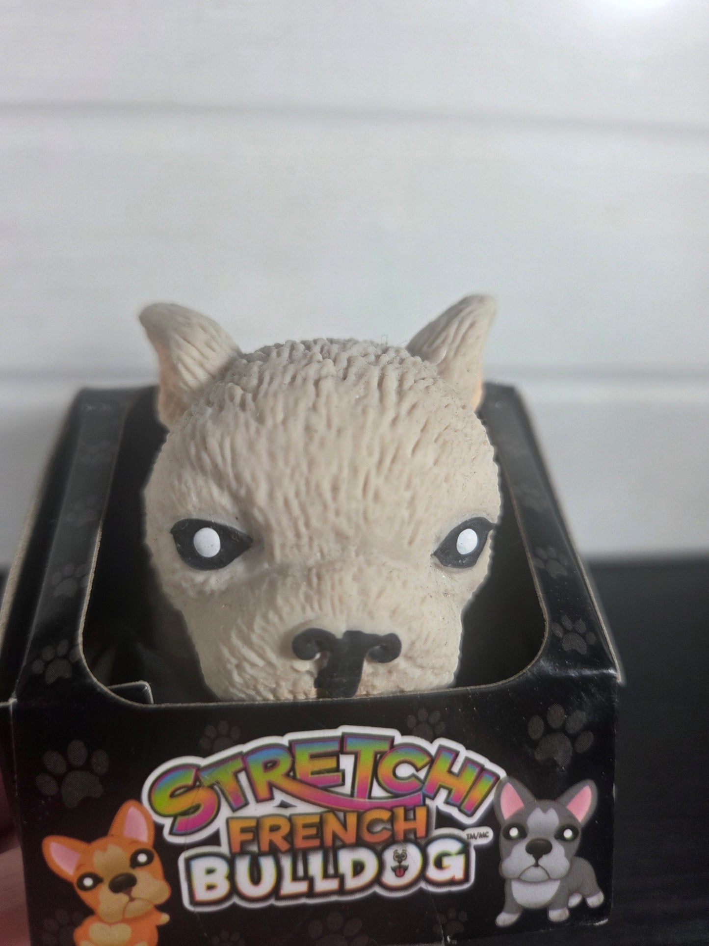 Incredible Novelties Stretchi Bulldog
