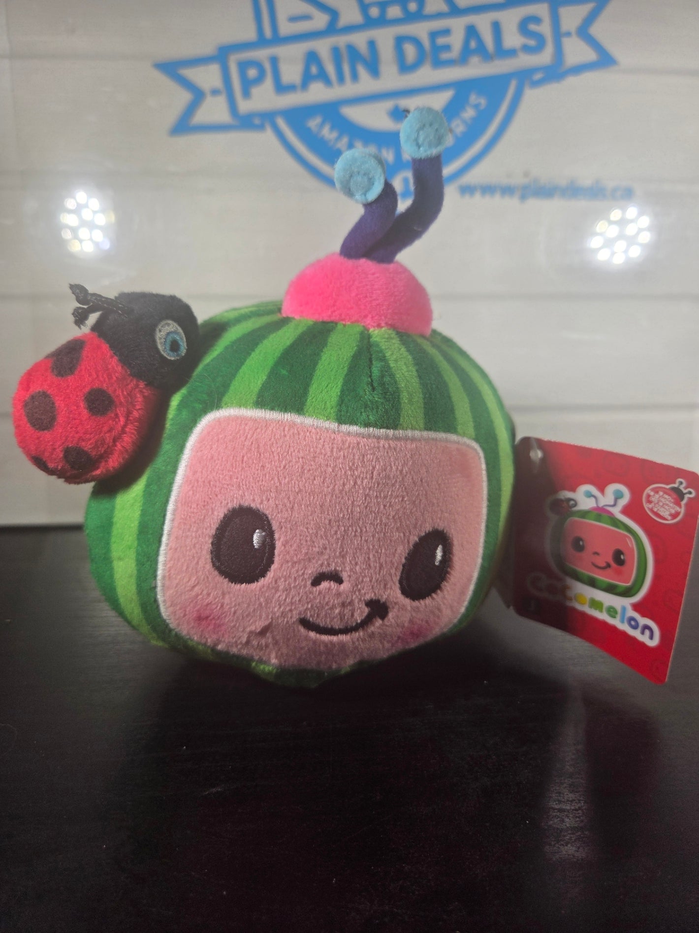 CoComelon Watermelon Plush Toy with Ladybug 6” Stuffed Animal - Jazwares New