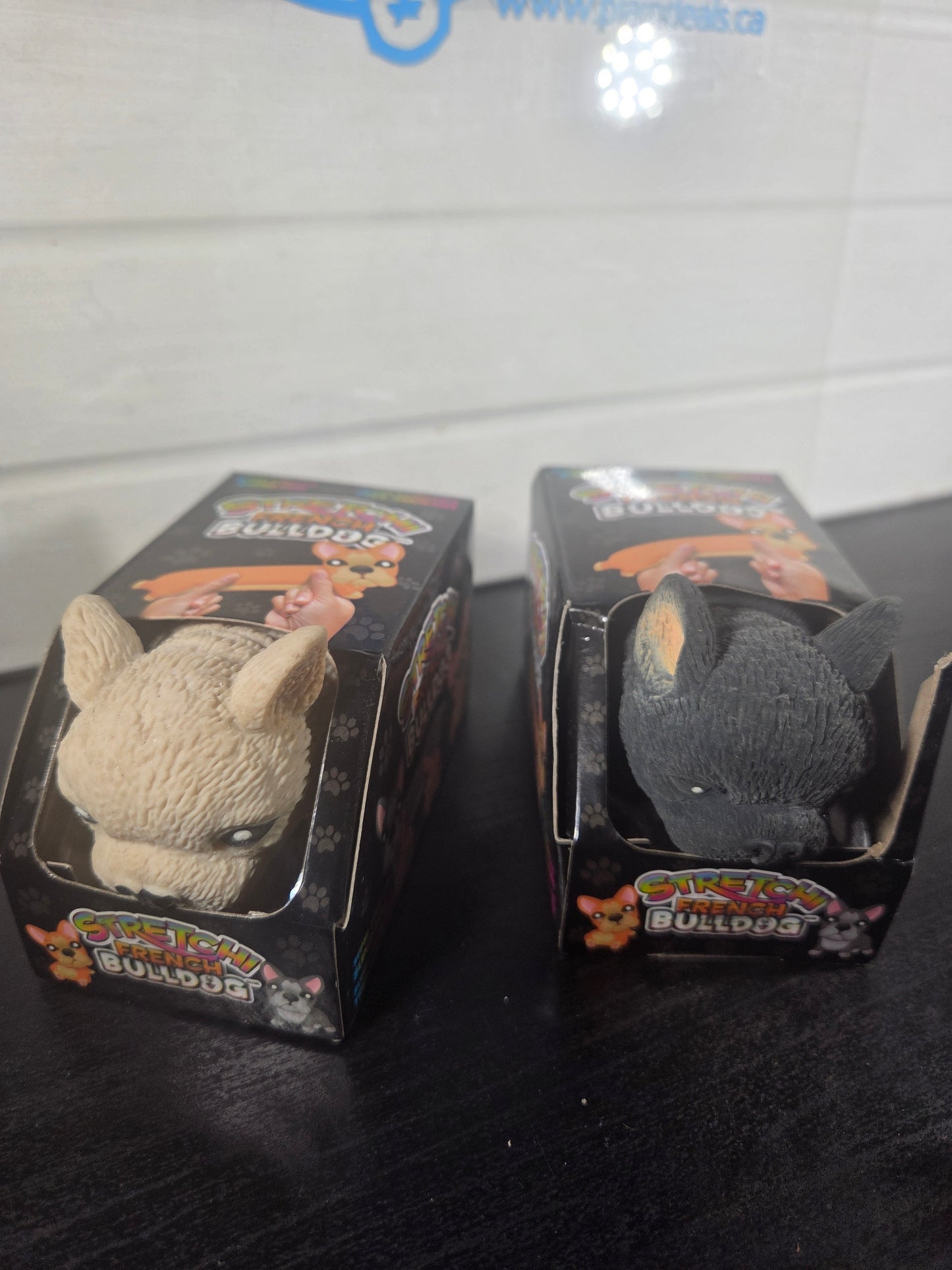 Incredible Novelties Stretchi Bulldog