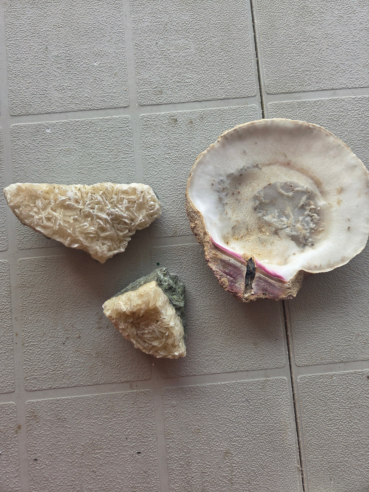 Natural Seashell and Calcite Mineral Crystal Cluster 3 Piece Decor Lot