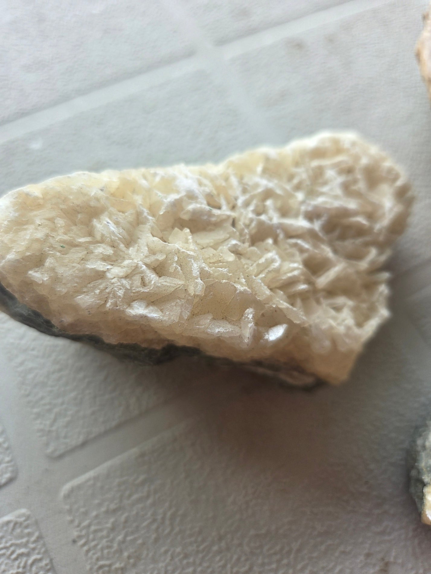 Natural Seashell and Calcite Mineral Crystal Cluster 3 Piece Decor Lot