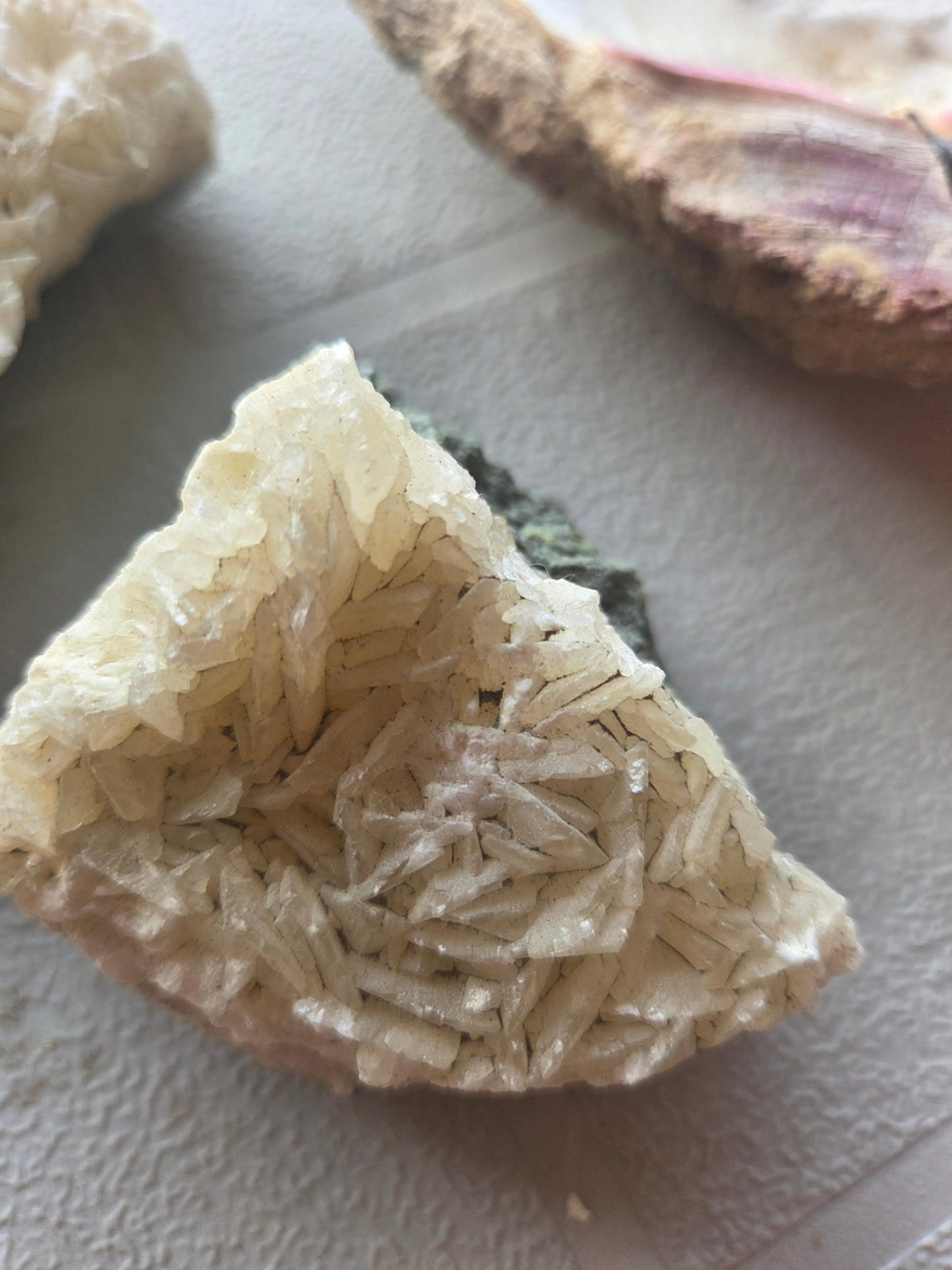 Natural Seashell and Calcite Mineral Crystal Cluster 3 Piece Decor Lot