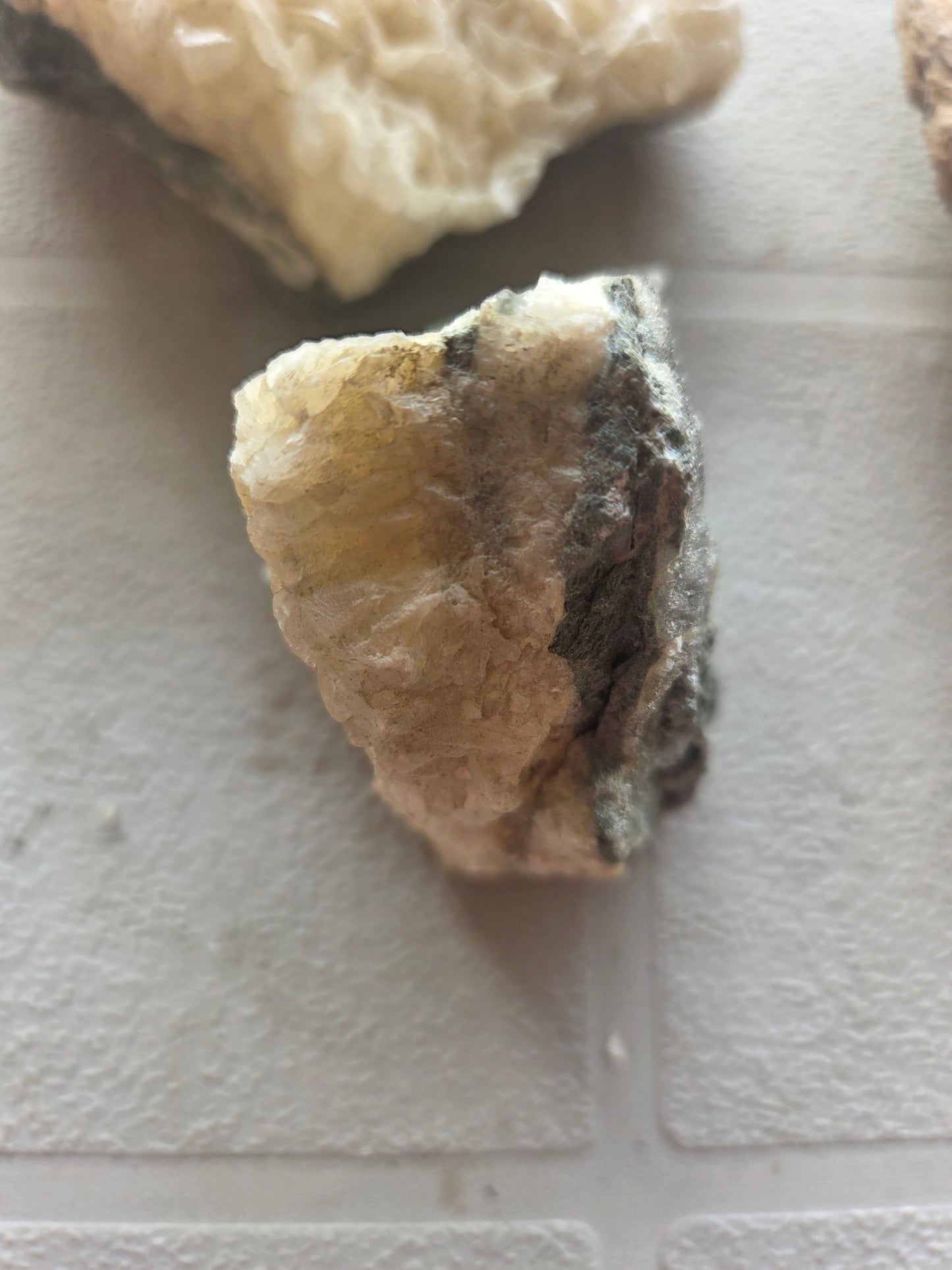 Natural Seashell and Calcite Mineral Crystal Cluster 3 Piece Decor Lot