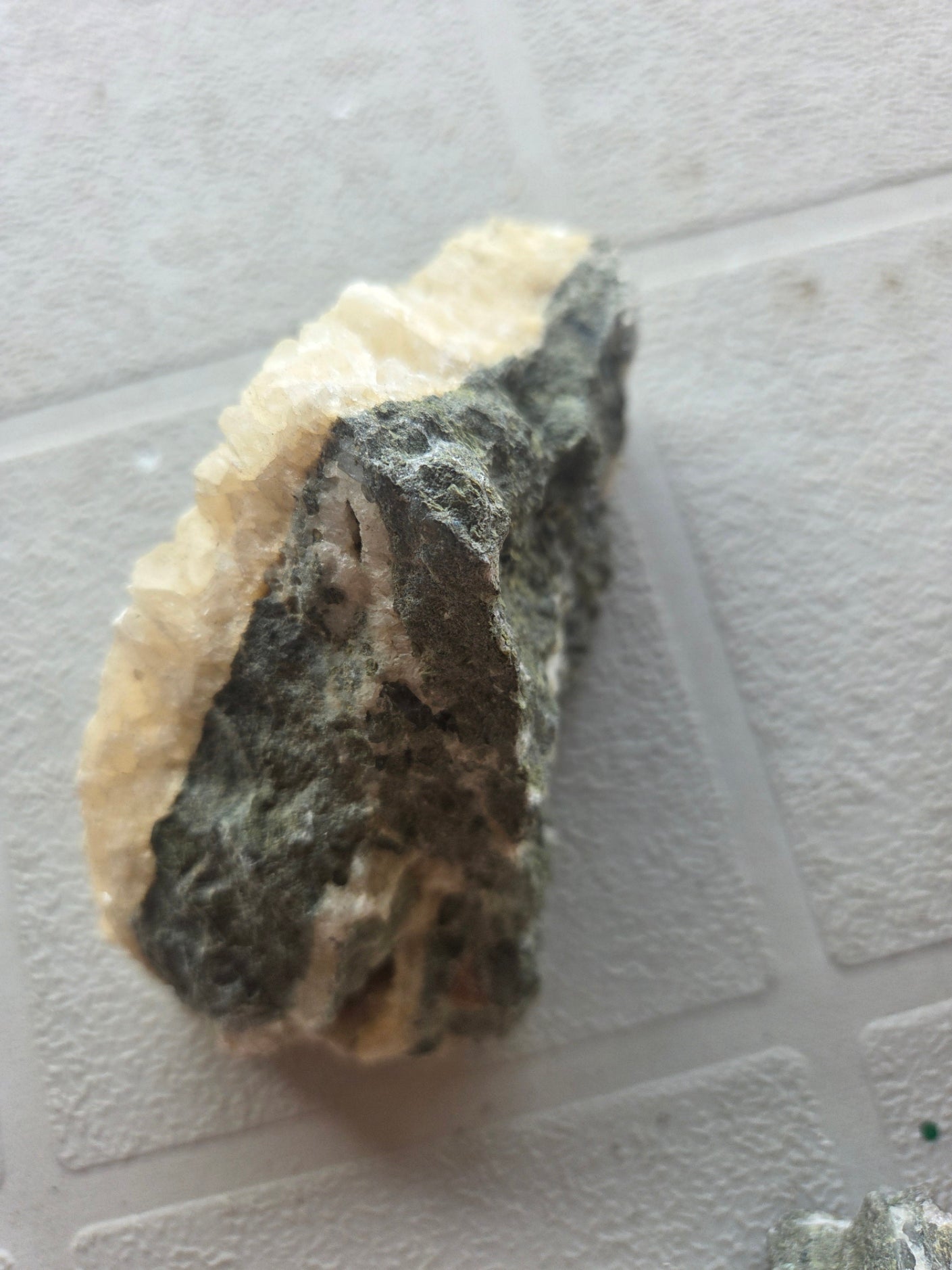 Natural Seashell and Calcite Mineral Crystal Cluster 3 Piece Decor Lot