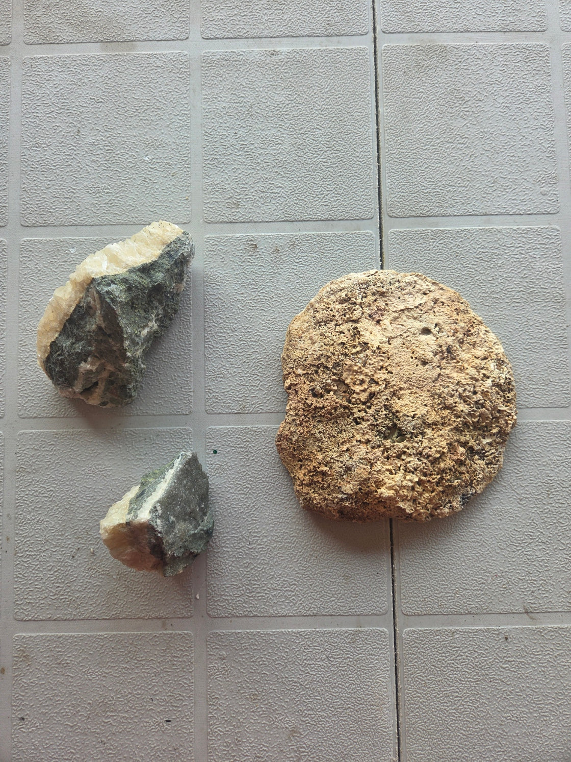 Natural Seashell and Calcite Mineral Crystal Cluster 3 Piece Decor Lot