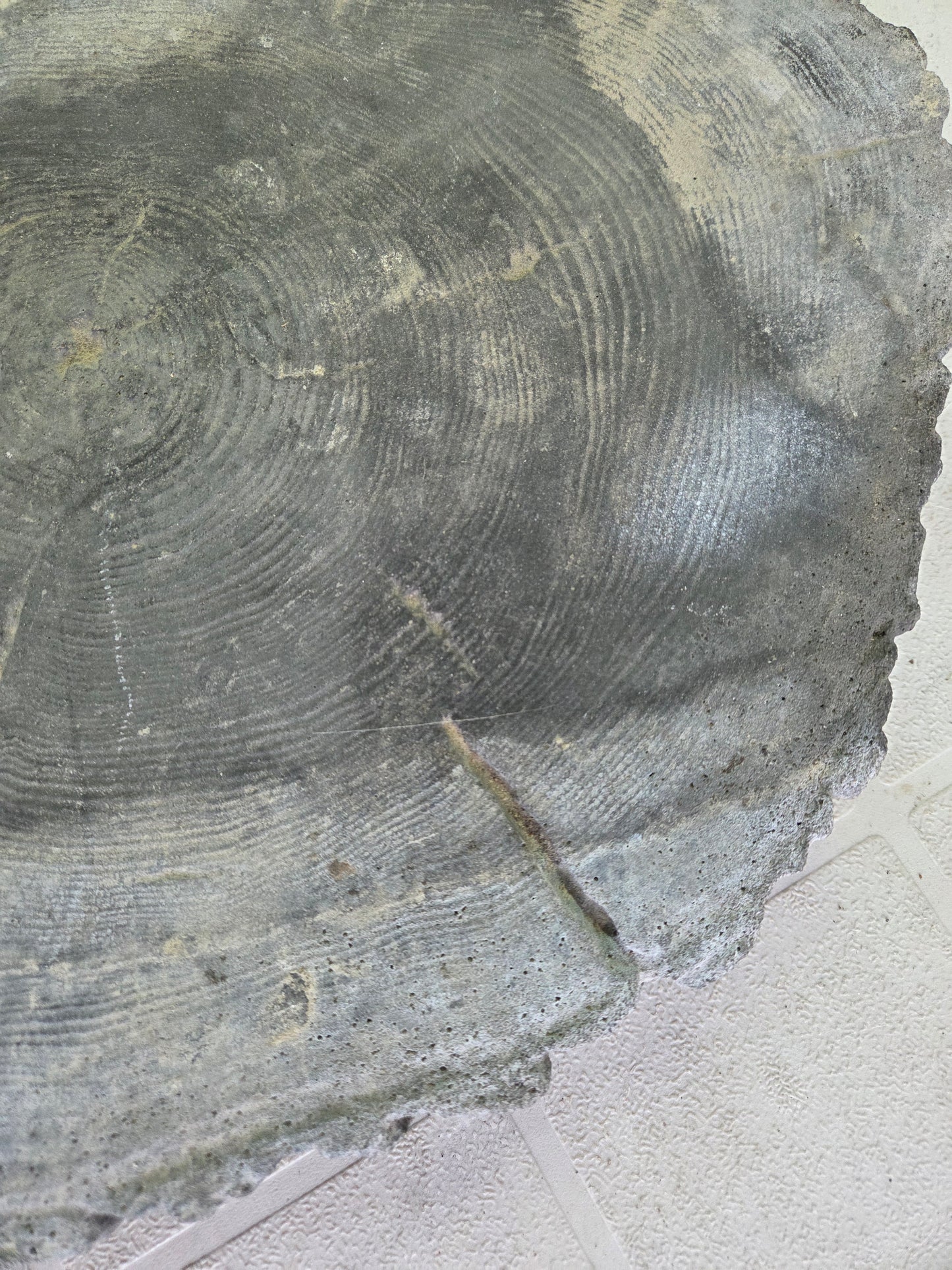Decorative Concrete Log Slice Garden Stepping Stone Tree Stump Slab Paver