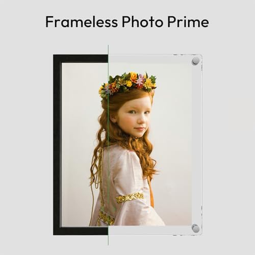 11x14 Clear Acrylic Wall Mount Floating Frameless Frame, Double Panel, NIUBEE