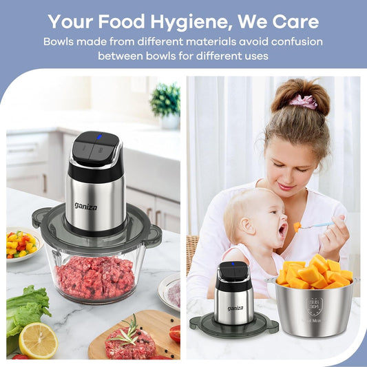 Food Processor & Meat Grinder, 2-Speed, 2 Bowls, Overheat Protection, 2 Blades, Clean Brush, Ganiza